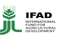 IFAD logo
