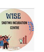 WISE / SNDTWU Incubation logo